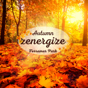 Zenergize, Sitges, Autumn